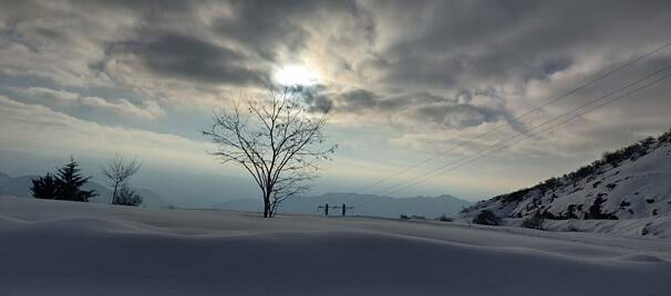 سیسخت زیباتر از همیشه +عکس و فیلم