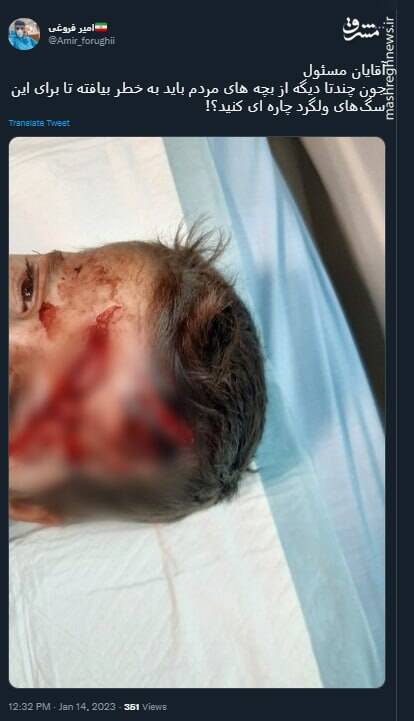 جون چندتا بچه دیگه باید برای این سگهای ولگرد به خطر بیافته؟