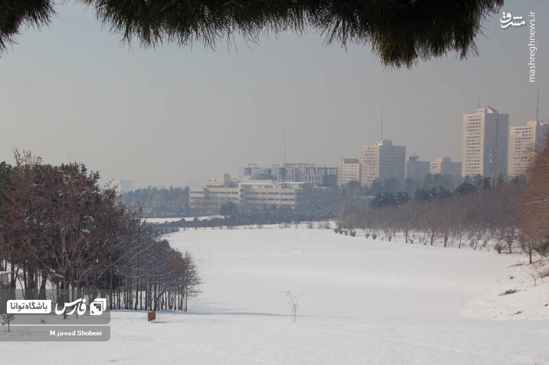 عکس/ هوای نفس گیرپایتخت