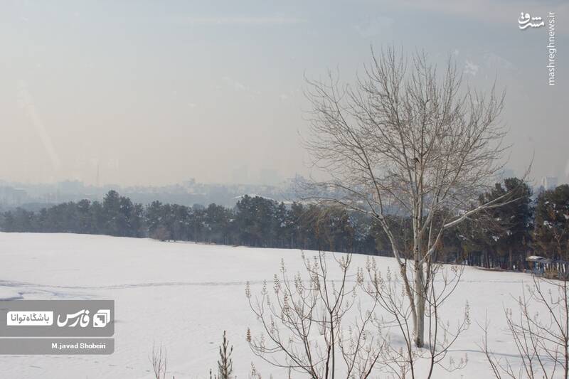 عکس/ هوای نفس گیرپایتخت