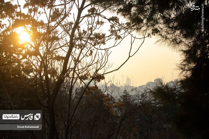 عکس/ هوای نفس گیرپایتخت