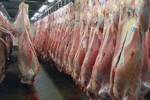 گوشت گوسفندی و گوساله کیلویی چند؟