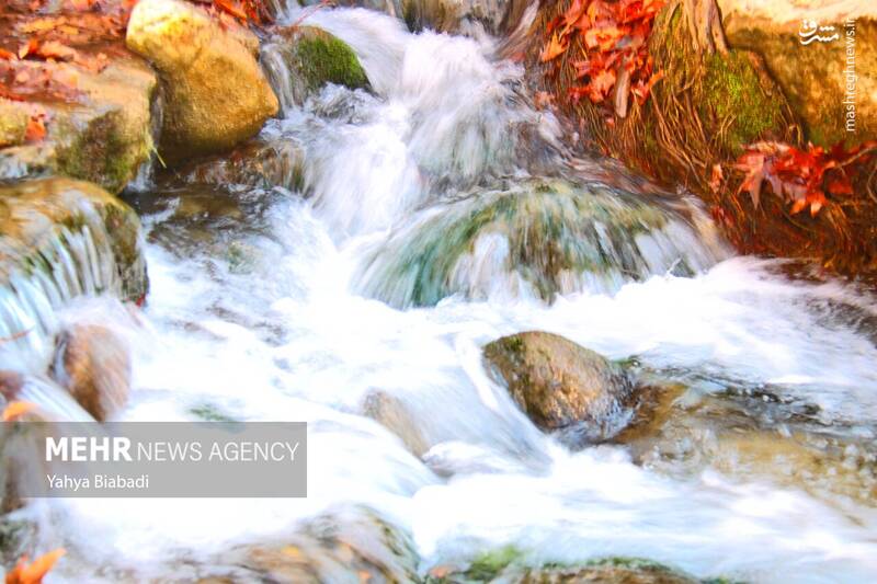 عکس/ طبیعت زیبای سراب دربند صحنه