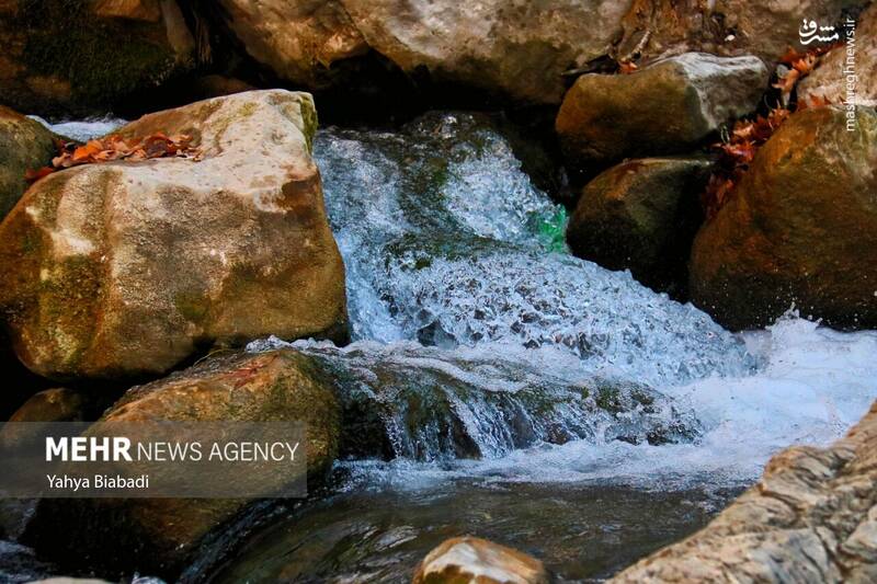 عکس/ طبیعت زیبای سراب دربند صحنه