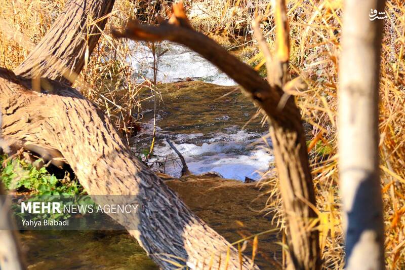 عکس/ طبیعت زیبای سراب دربند صحنه