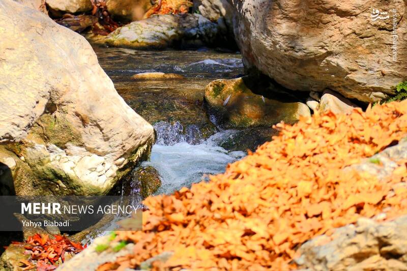 عکس/ طبیعت زیبای سراب دربند صحنه