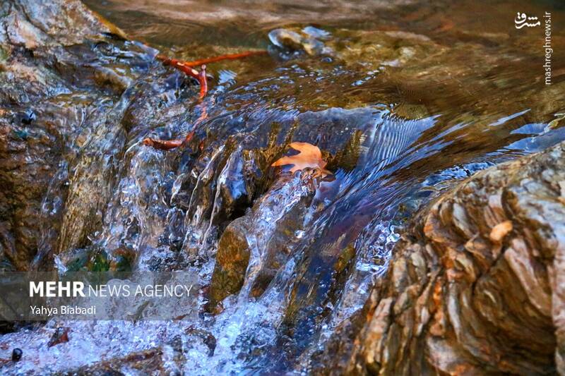 عکس/ طبیعت زیبای سراب دربند صحنه