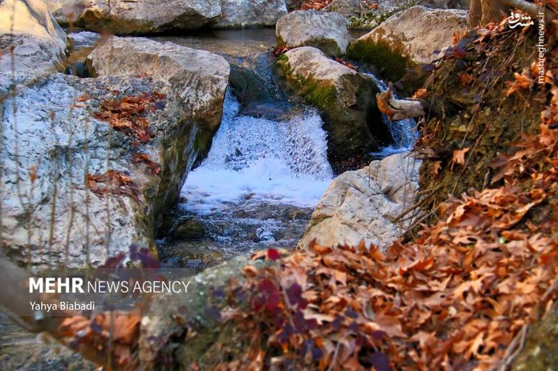 عکس/ طبیعت زیبای سراب دربند صحنه