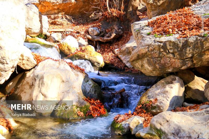 عکس/ طبیعت زیبای سراب دربند صحنه