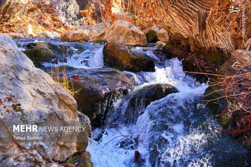 عکس/ طبیعت زیبای سراب دربند صحنه