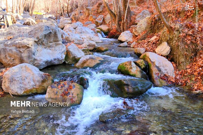 عکس/ طبیعت زیبای سراب دربند صحنه