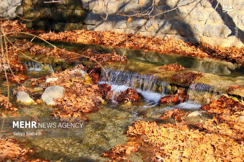 عکس/ طبیعت زیبای سراب دربند صحنه