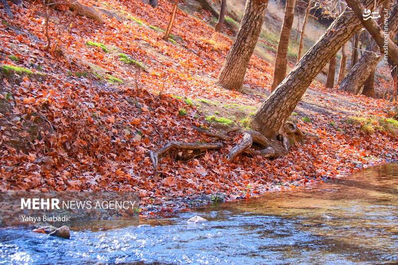 عکس/ طبیعت زیبای سراب دربند صحنه