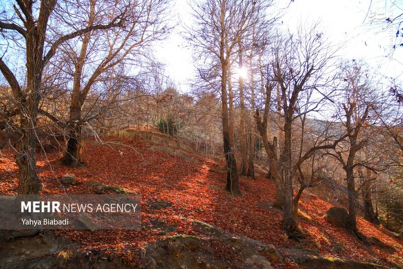 عکس/ طبیعت زیبای سراب دربند صحنه