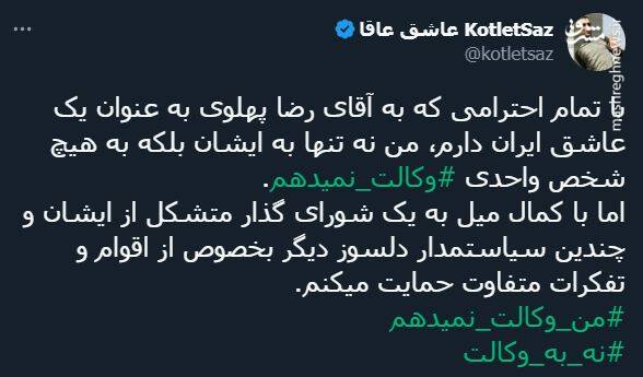 صندلیبازی براندازان با رضا پهلوی! + تصاویر 6