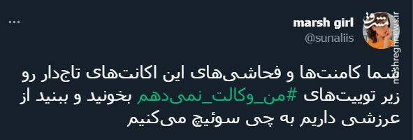 صندلیبازی براندازان با رضا پهلوی! + تصاویر 5