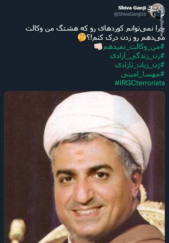 صندلیبازی براندازان با رضا پهلوی! + تصاویر 2