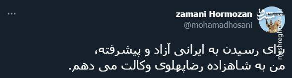 صندلیبازی براندازان با رضا پهلوی! + تصاویر 11