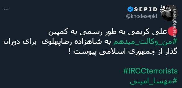 صندلیبازی براندازان با رضا پهلوی! + تصاویر 9