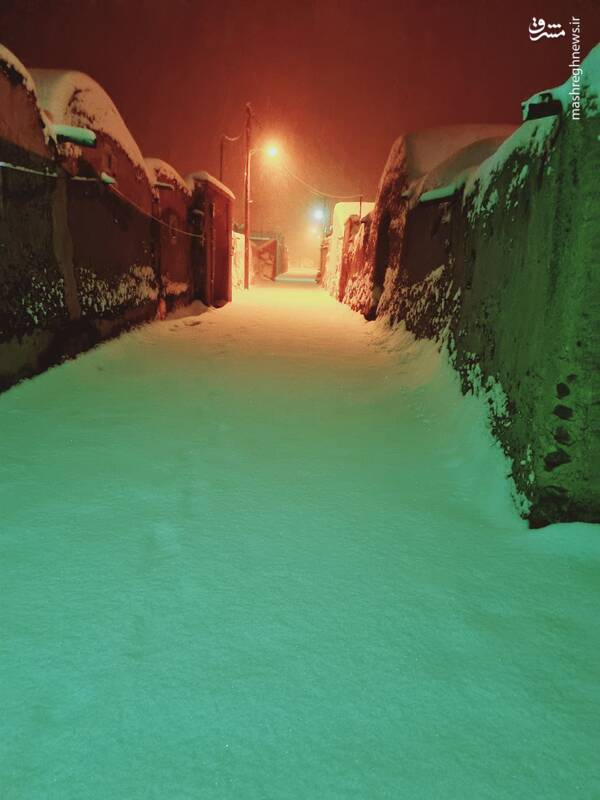 عکس/ یزد در روزهای برفی
