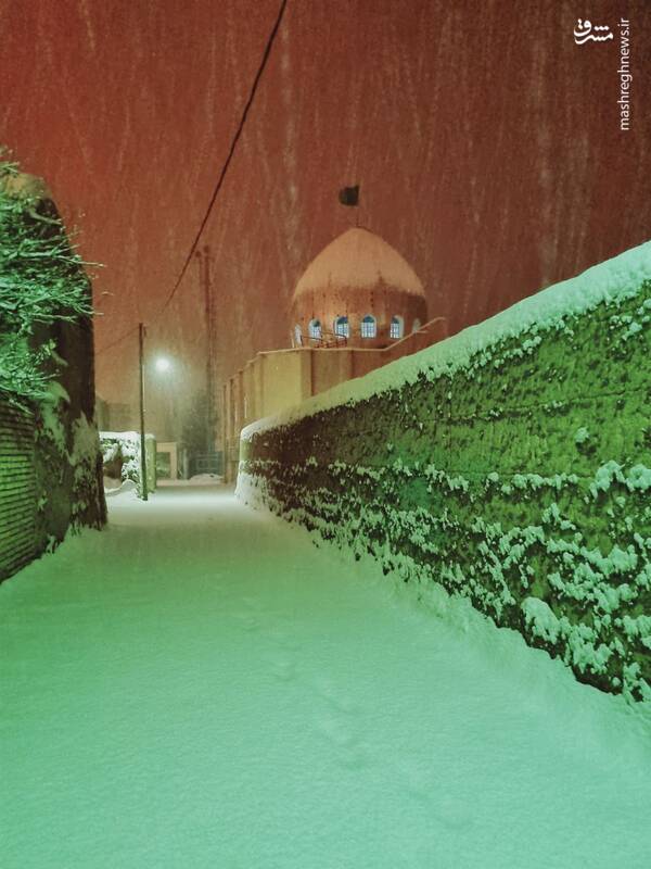 عکس/ یزد در روزهای برفی
