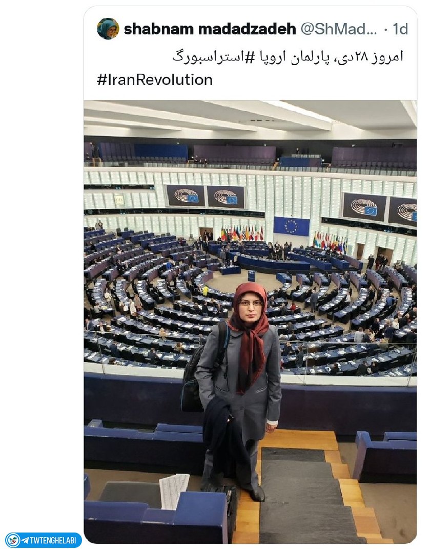 عاقبت حمایت از دختر دانشجو بازداشتی ۸۸ ! +عکس