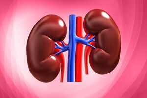 توصیههایی برای مراقبت از کلیهها