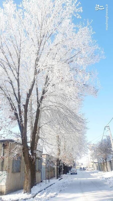 عکس/ چهره برفی کنگاور در روزهای سرد زمستان