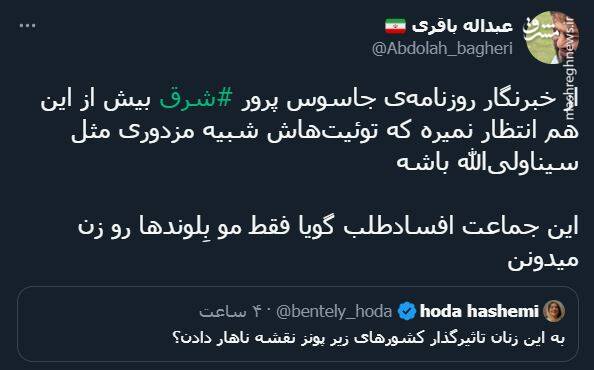 پاسخ کاربران به توئیت توهینآمیز خبرنگار شرق + عکس 25