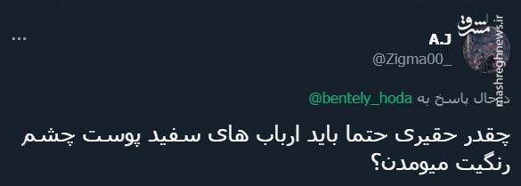 پاسخ کاربران به توئیت توهینآمیز خبرنگار شرق + عکس 29