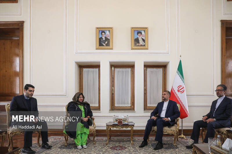 جمعی از میهمانان همایش زنان تأثیر گذار که از وزرای کشورهای زیمباوه، نیجریه، ونزوئلا و نیکاراگوئه نیز هستند پیش از ظهر روز یکشنبه ۲ بهمن ماه با حسین امیر عبدالهیان وزیر امور خارجه کشورمان دیدار و گفتگو کرد