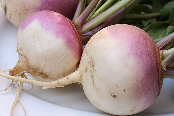 یک «شلغم» و هزاران درمان