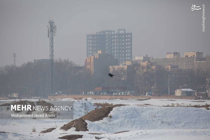 عکس/ آسمان قزوین در حصار آلودگیها