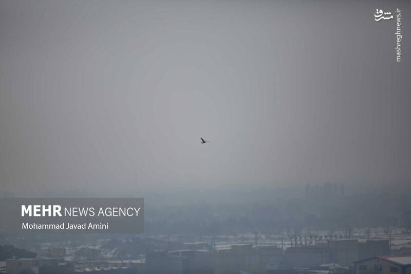 عکس/ آسمان قزوین در حصار آلودگیها
