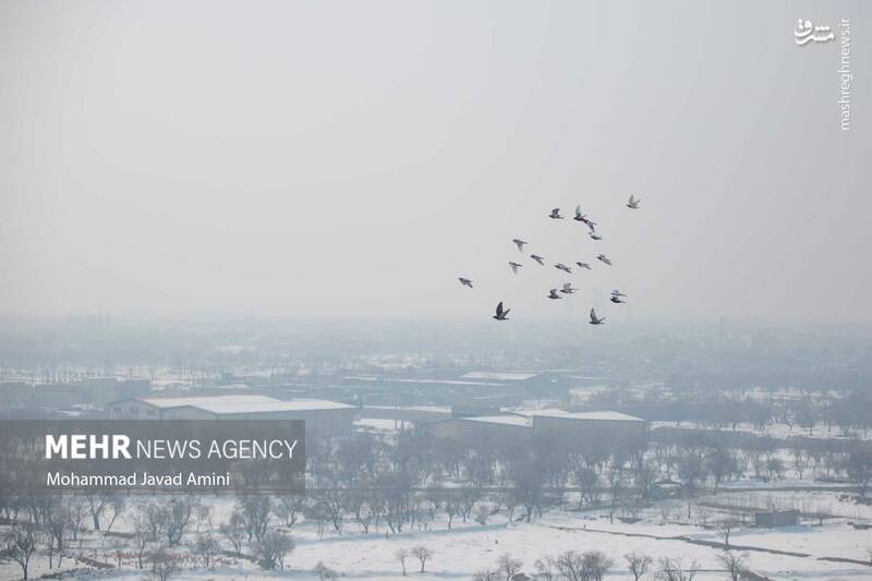 عکس/ آسمان قزوین در حصار آلودگیها