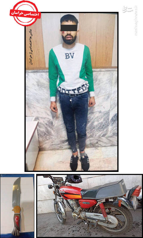 سرقتهای لاکچری +عکس