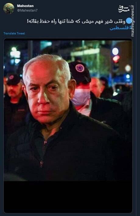 وقتی شیر فهم میشی که شنا تنها راه حفظ بقاته+ عکس