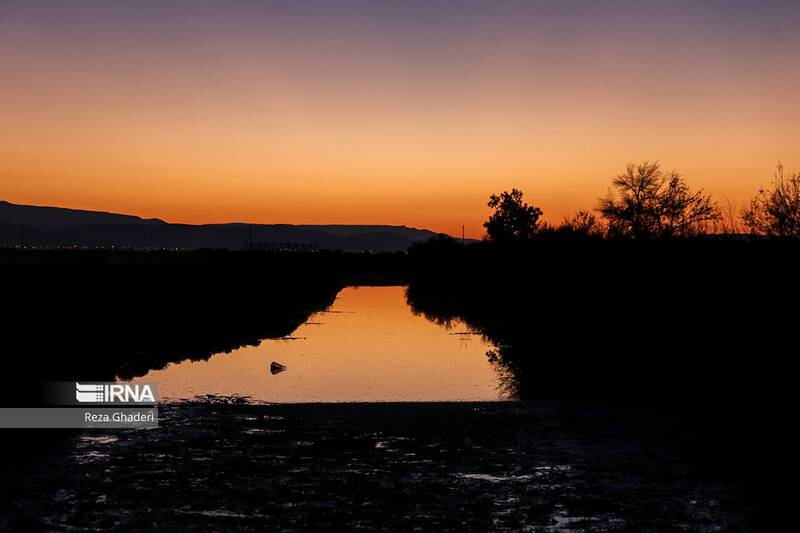 تصاویری از لحظه رسیدن آب به دریاچه بختگان