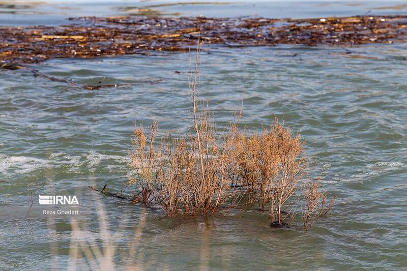 تصاویری از لحظه رسیدن آب به دریاچه بختگان