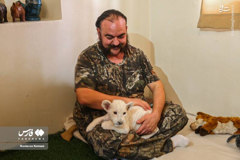 عکس/ توله شیر سفید در کرج