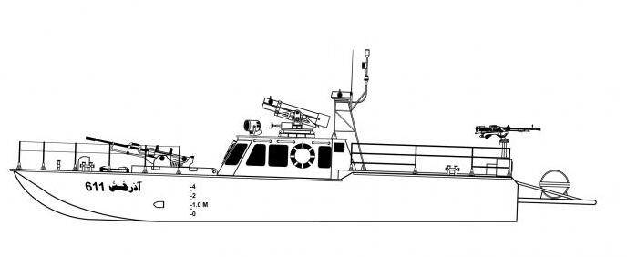 زنبورهای سرخ چگونه عامل قدرت ایران شدند؟+ تصاویر