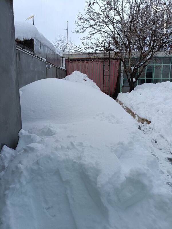 عکس/حجم برف حیاط یک خانه در شهرکرد