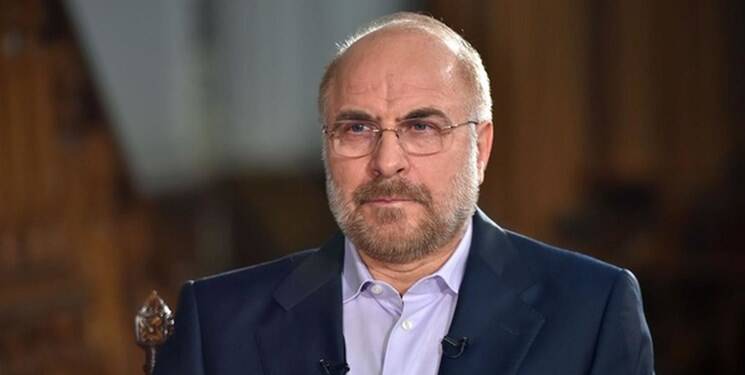 معنای مصونیت اعضای کمیته مولدسازی اموال دولتی چیست؟