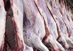 کاهش قیمت گوشت قرمز با عرضه انبوه دام از اواسط اسفندماه
