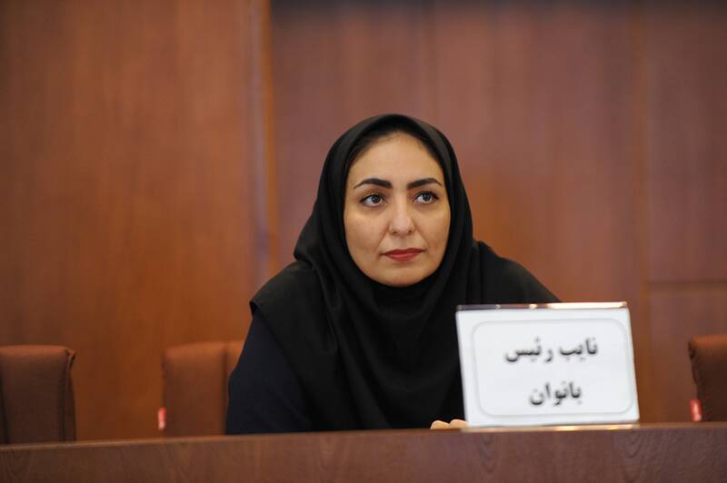 جنگ داخلی در فدراسیونی پرحاشیه/ وقتی شطرنج، شطرنجی شد!