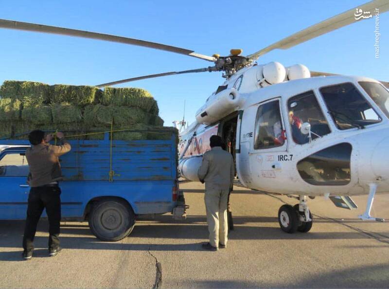 ارسال علوفه برای حیات وحش با هلیکوپتر+ عکس