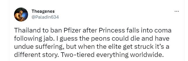 مرگ شاهزاده تایلندی خشم عمومی را علیه «فایزر» برانگیخت/ دولت تایلند به دنبال ممنوعیت کامل فایزر است+عکس