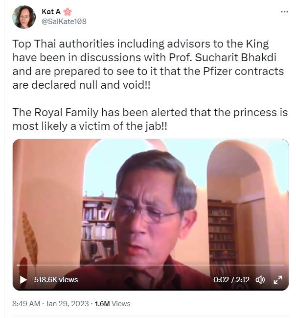 مرگ شاهزاده تایلندی خشم عمومی را علیه «فایزر» برانگیخت/ دولت تایلند به دنبال ممنوعیت کامل فایزر است+عکس