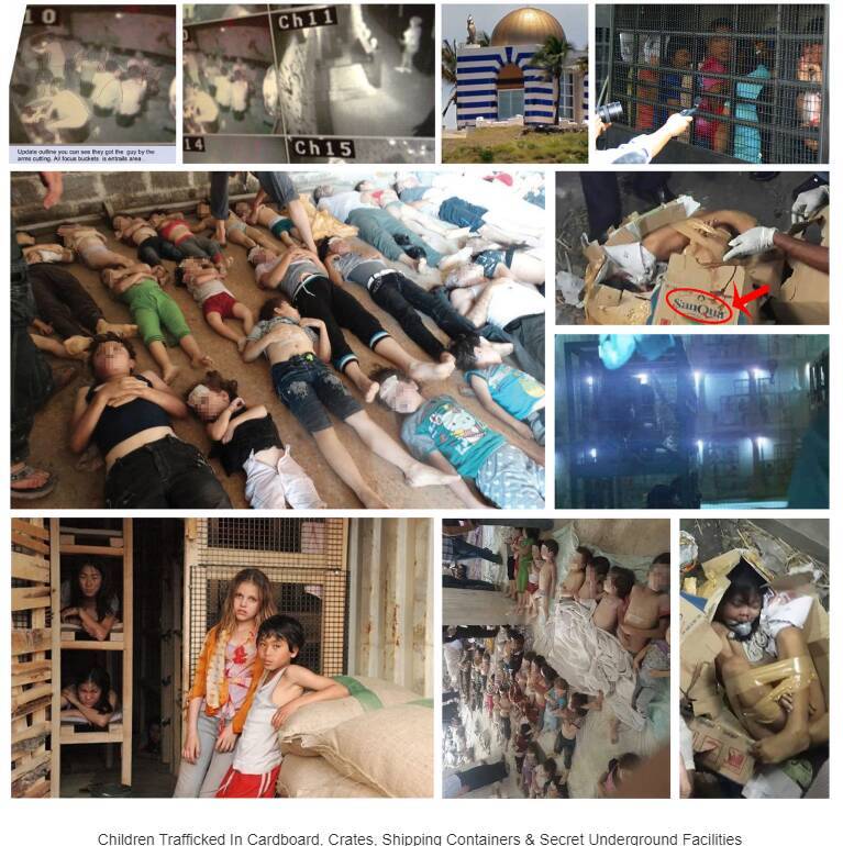 دستور ویژه پوتین برای مقابله با قاچاق «خون» از اوکراین