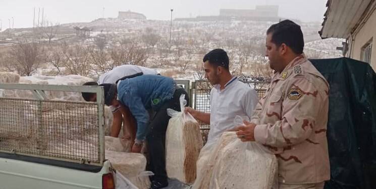 «مرزبانی» در خوی چه میکند؟ +عکس